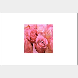 Roses Pink and Pretty Posters and Art